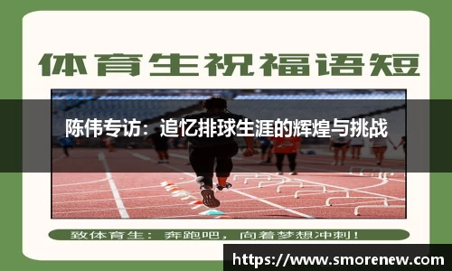 陈伟专访：追忆排球生涯的辉煌与挑战